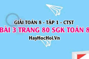 Giải bài 3 trang 80 Toán 8 Tập 1 SGK Chân trời sáng tạo